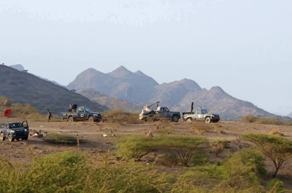 تعز .. الوازعية.. القبائل ترغم مليشيات 