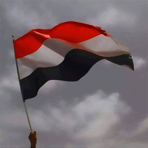 اليمن يرفض دعوات تهجير الفلسطينيين من غزة ويطالب بإيقاف التصعيد العسكري