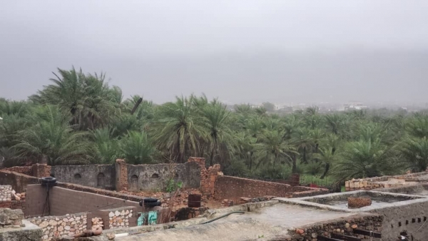 مسؤول حكومي في المهرة يعلن عن إحصائية جديدة لأضرار "تيج"