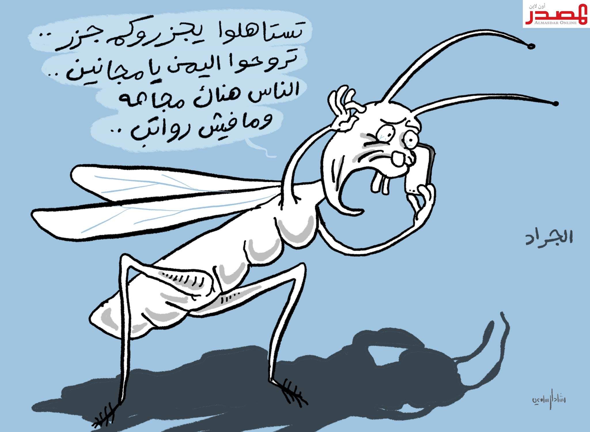 الجراد في اليمن  الجراد في اليمن