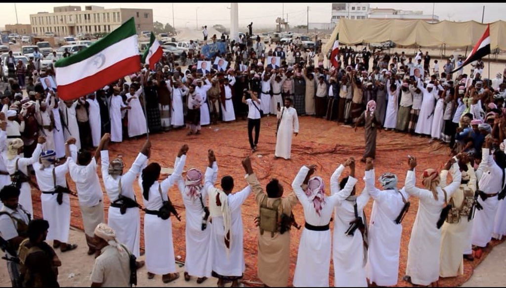 لجنة اعتصام المهرة: لن نسمح بمخططات يمولها الاحتلال السعودي ـ الإماراتي