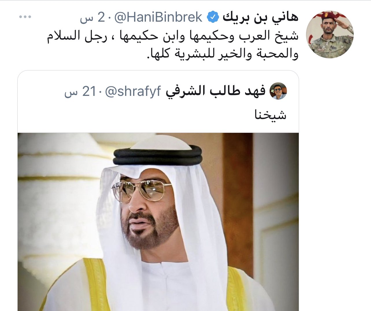 بن بريك والشرفي في مرمى كاتب سعودي: ضرائر وجواري بن زايد