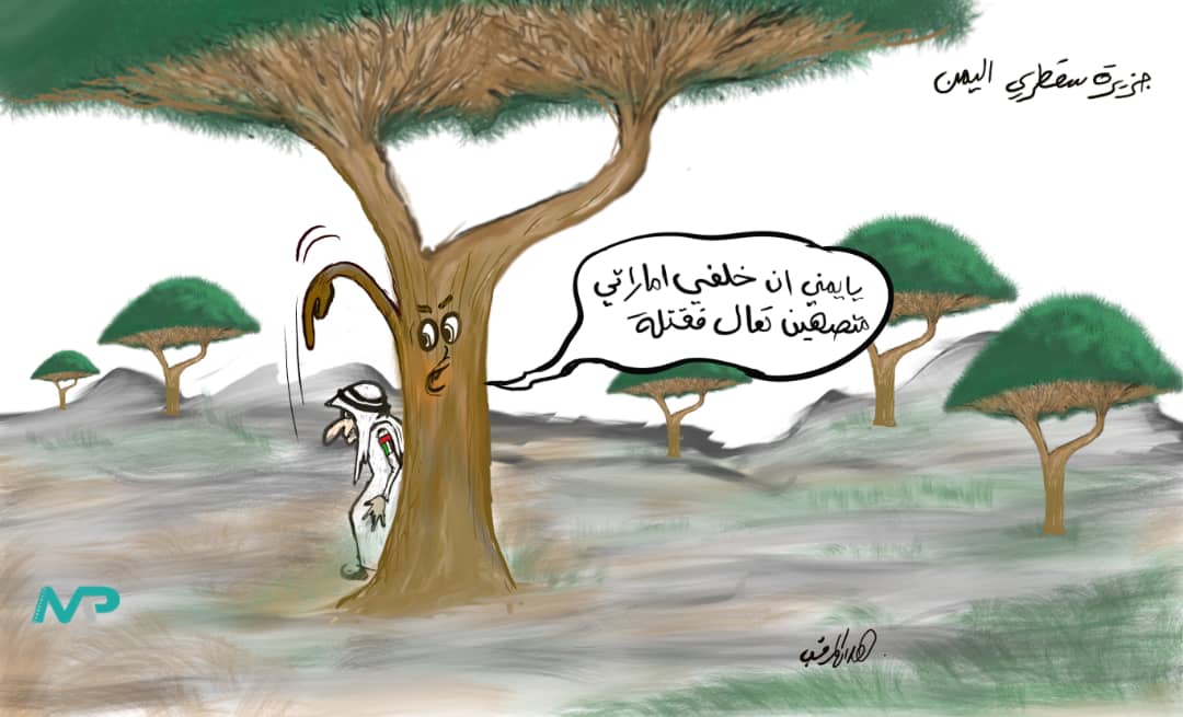 كاريكاتير سقطرى ويهود الامارات 