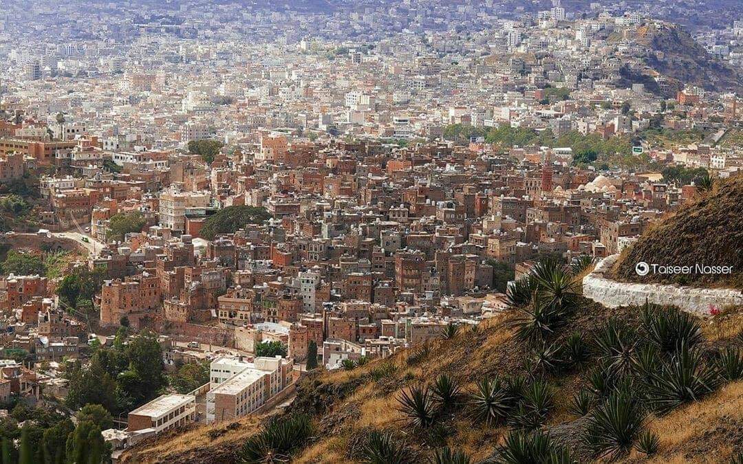 عاجل:المبعوث الاممي يصل مدينة تعز 