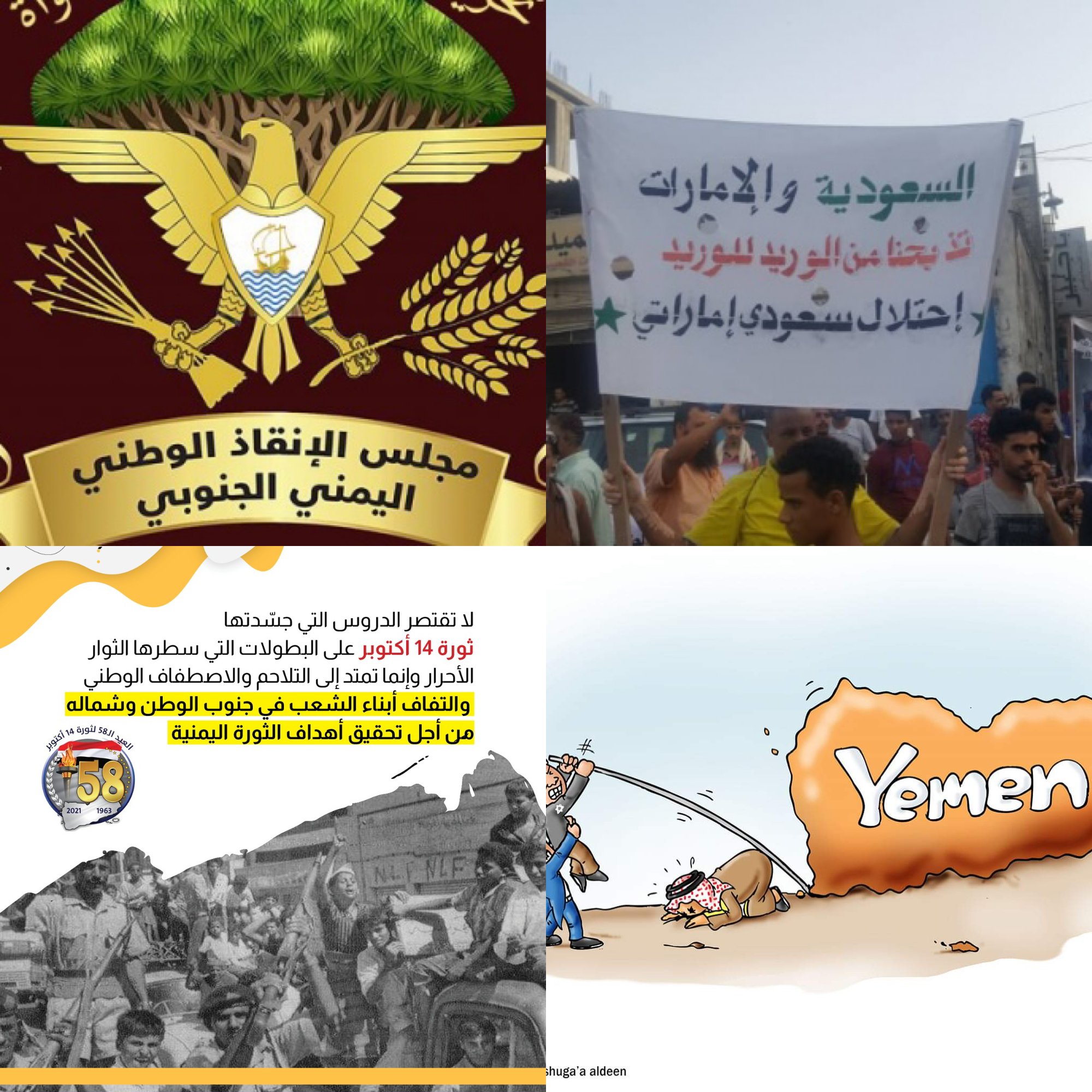 مجلس الإنقاذ الوطني: الوضع في الجنوب يشبه فترة الاحتلال البريطاني بالقمع وتغذية الانقسامات