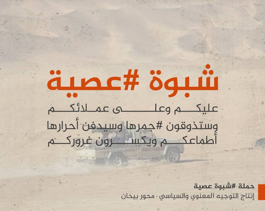 *ناشطون يطلقون حملة إعلامية واسعة لدعم وإسناد الجيش الوطني والتوعية بالخطر الحوثي*