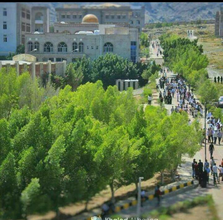 اتحاد الطلاب في جامعة تعز: البعض في قيادة الجامعة تعمل على توظيف العملية التعليمية وقضايا الطلبة سياسيًا