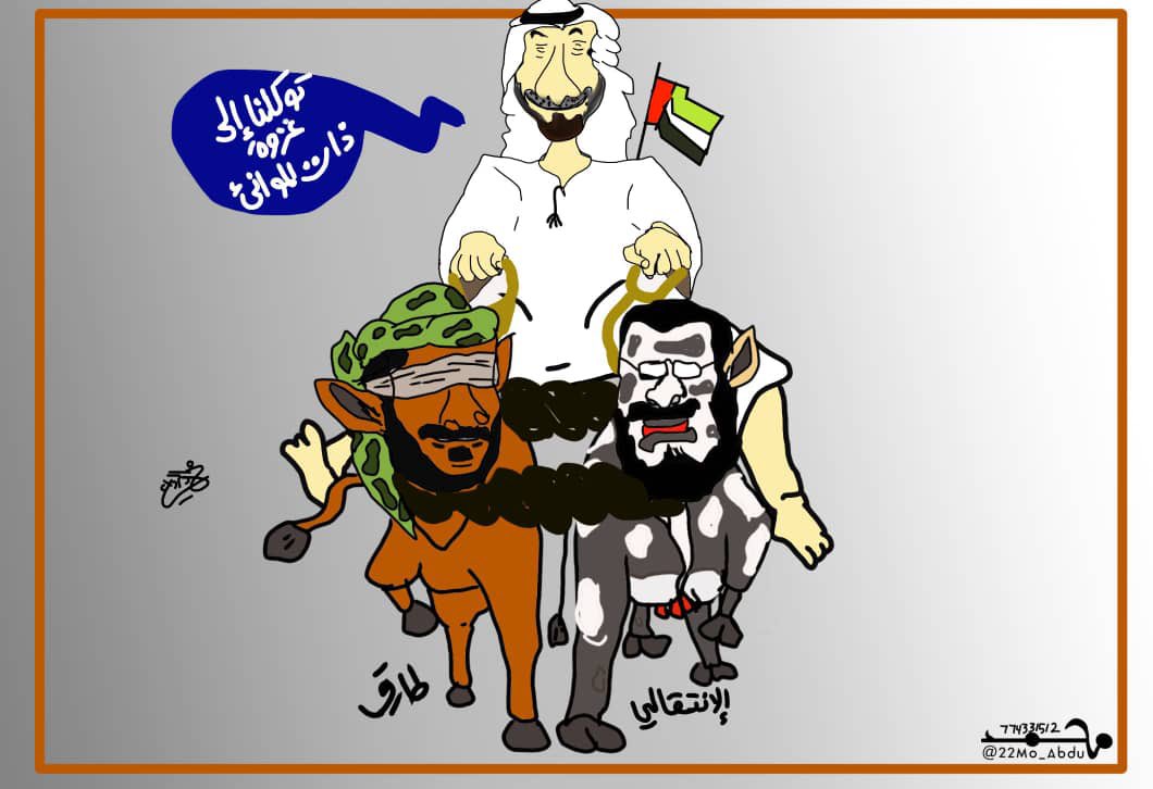 لينا العدني تكتب عن الحصاد المر لتدخل التحالف 