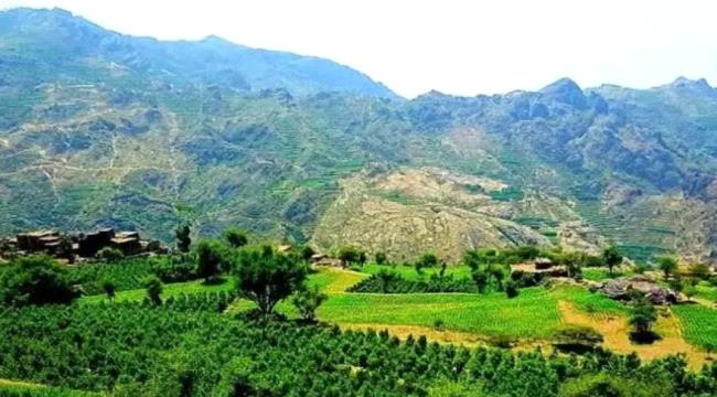 بسبب تجاوز هذا المكون للثوابت التاريخية ليافع ومكانتها الوطنية .. : السلطان إسكندر آل هرهرة يعلن تخليه عن مجلس يافع الأهلي